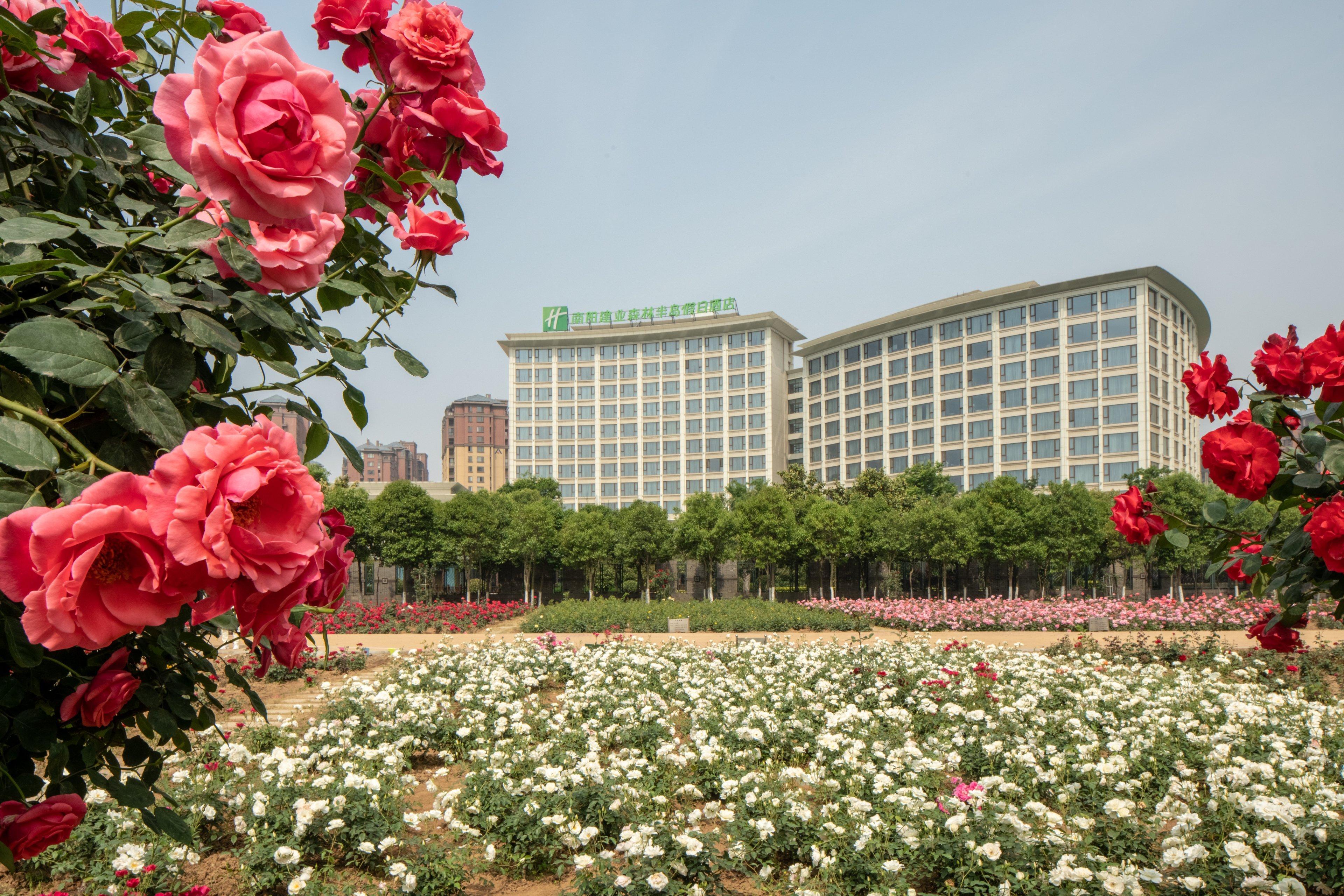 Holiday Inn Nanyang By Ihg Eksteriør billede